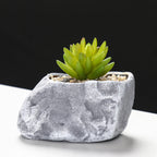 Creative Stone-Shaped Succulent Planter Kalsten