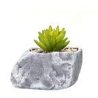 Creative Stone-Shaped Succulent Planter Kalsten