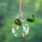 Kalsten | Angel Time Transparent Glass Vase