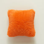 Plush Soft Texture Decorative Cushion