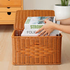 Versatile Natural Woven Storage Chest Kalsten