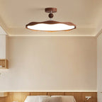 Contemporary Ceiling Light Fixture