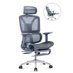 Ergonomic Mesh Office Chair Bowlift