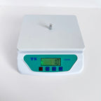 Digital Precision Weighing Scale