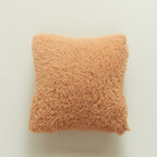 Plush Soft Texture Decorative Cushion