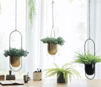 HaloRing Hanging Plant Holder – Metal Hanging Planter for Indoor and Outdoor | Kalsten