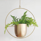 HaloRing Hanging Plant Holder – Metal Hanging Planter for Indoor and Outdoor | Kalsten